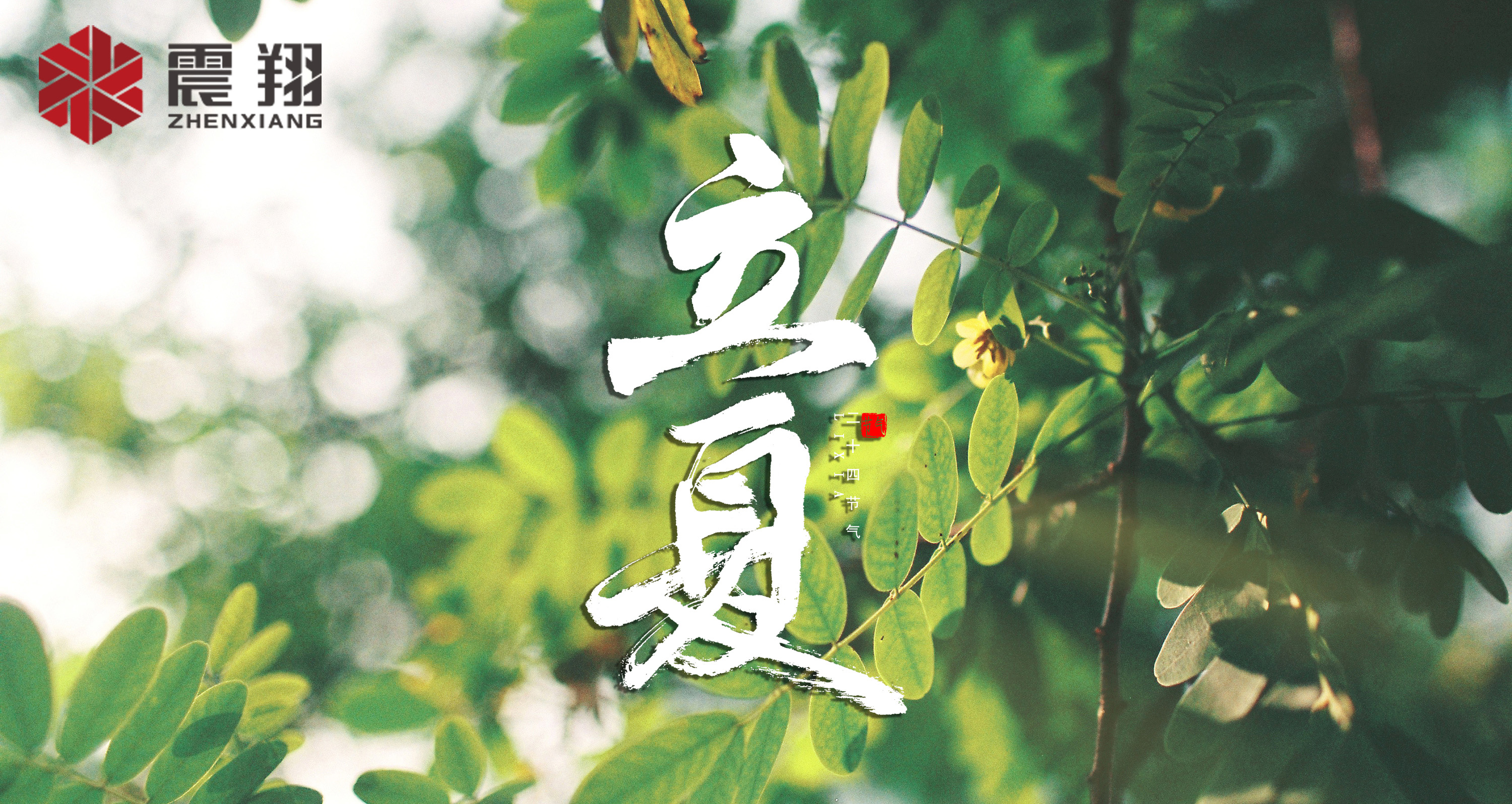 【立夏】春去春來不曾留意，夏日當(dāng)歸，撲面而來