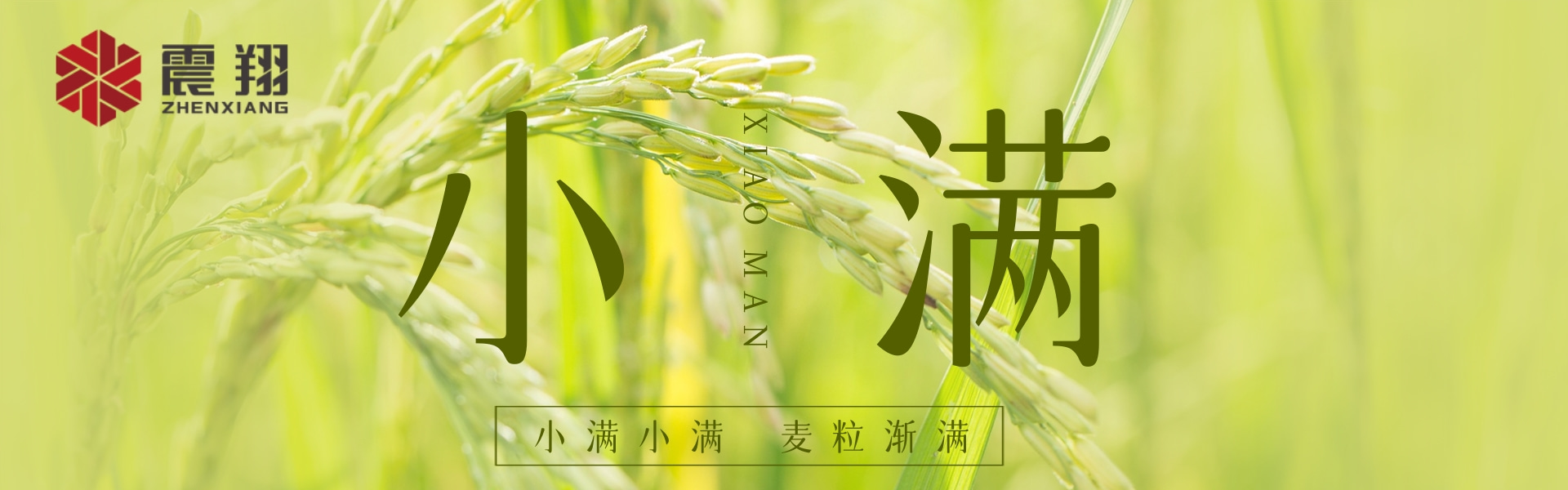 小滿|???????小滿小滿，江河漸滿。