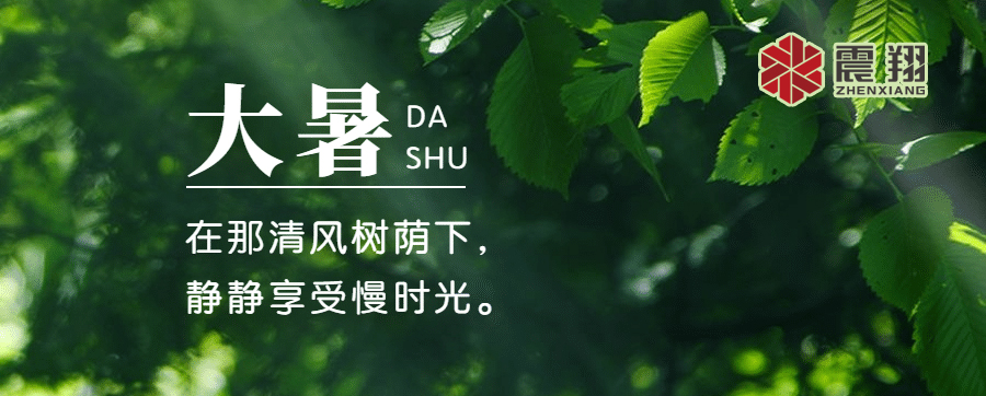 大暑|感受盛夏熱情，品味生活韻味