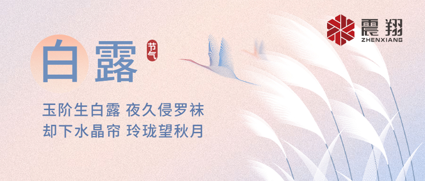 白露|露已凝，夜微涼